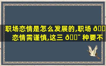 职场恋情是怎么发展的,职场 🐧 恋情需谨慎,这三 🐯 种要不得